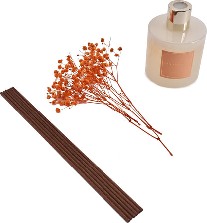 Set 6.7oz Cocorrna Premium Reed Diffuser with Preserved Baby's Breath & Cotton Stick Coconut Lime | Scent Fragrance Oil