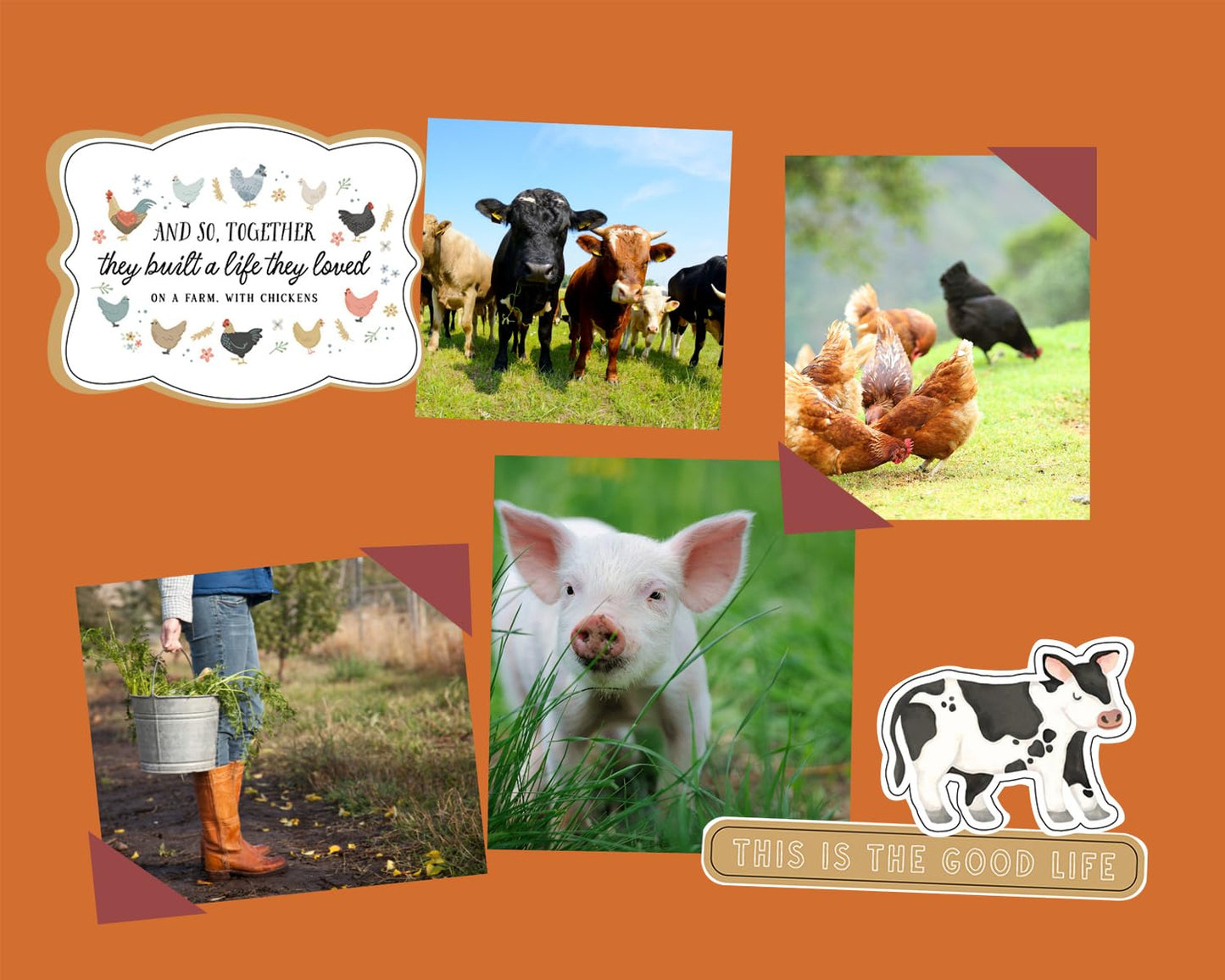 Farm Stickers for Scrapbooking - 12x12 Farm Animal, Barnyard & Tractor Designs for Farmers Journal, Farmhouse Photo Album, DIY Crafts - 2 Sheet Set