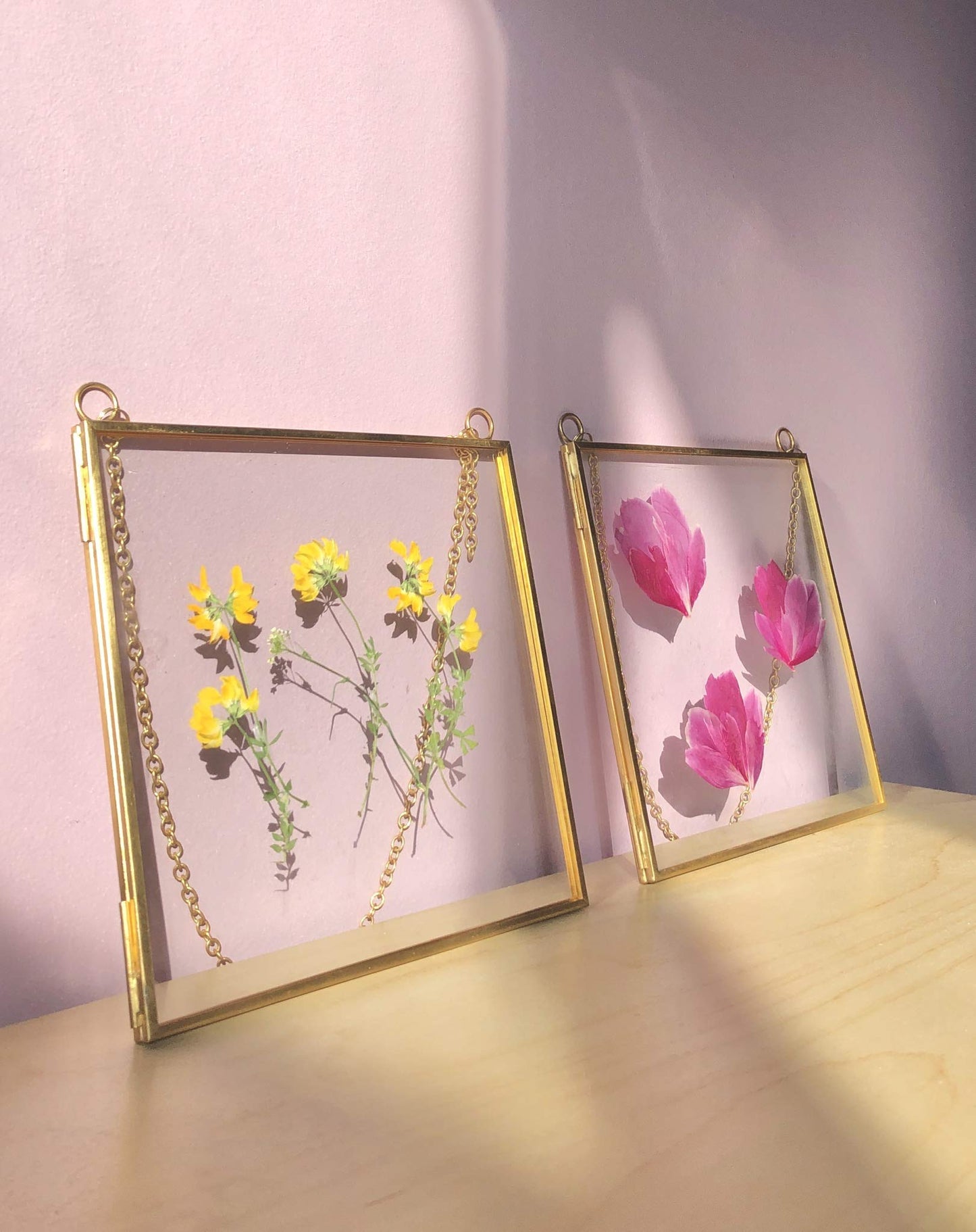 Glass Frame for Pressed Flowers, Leaf and Artwork - Hanging Gold 6x6 Square Metal Picture Frames, Clear Double Glass Floating Frame, Wall Decor Photo Display, Set of 2 Flower Press Frames with Chain