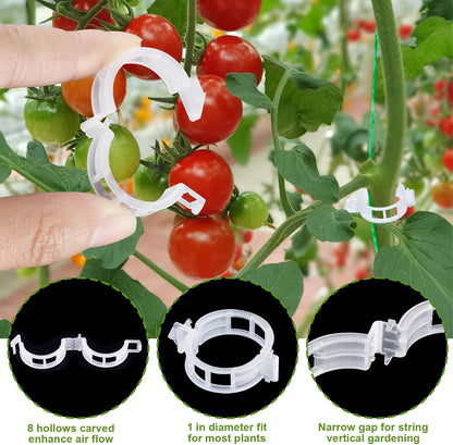 Skiennix 30Pcs Tomato Support Hooks - Durable Holders with 33.3ft Twine for Healthy Growth