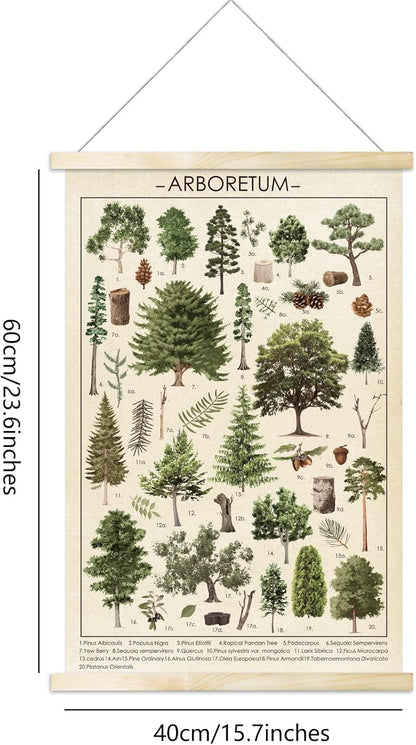 Tevxj Vintage Tree Poster Plant Wall Art Prints, Rustic Style Arboretum Wall Hanging Illustrative Reference Chart for
