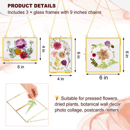 Chunful 9 Pieces Double Glass Frame for Pressed Flowers Hanging Picture Frames Photo Display Gold Metal Brass Floating Frame with Chain for Artwork Art Specimen Wall Plant DIY Gallery, 3 Sizes
