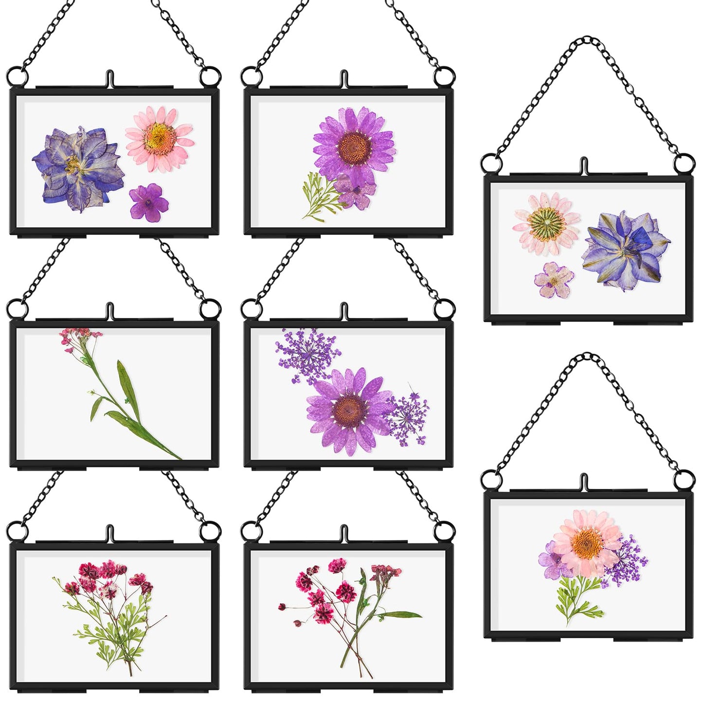 Thyle 8 Pieces Pressed Flower Frames, 3.5 x 2.5 Inch Wall Hanging Double Glass Picture Frames with Chain, Clear Floating Display for Dried Flowers Plants Wall Decor Artwork DIY Family Photo