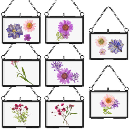 Thyle 8 Pieces Pressed Flower Frames, 3.5 x 2.5 Inch Wall Hanging Double Glass Picture Frames with Chain, Clear Floating Display for Dried Flowers Plants Wall Decor Artwork DIY Family Photo