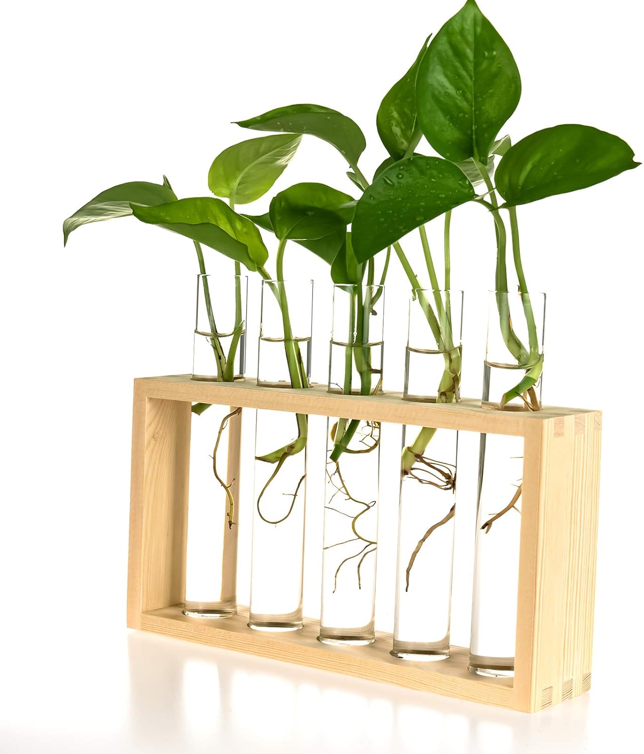 5 Kingbuy Wall Propagation Station with Test Tube Vases - Vintage Wood Stand Wall Hanging Planter for Plants, Tabletop