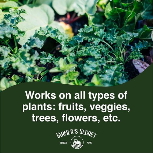 Farmer's Secret Spring Booster Fertilizer - Super Concentrated 8-16-8 Formula | 32oz for All Plants