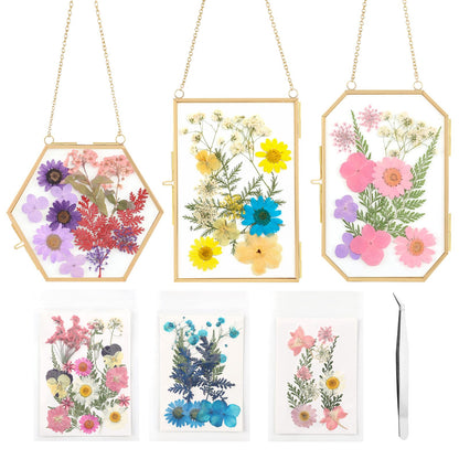 Lujechii 3 Pcs Double Glass for Pressed Flowers,Clear Brass Embossed Frame with Dried Flowers and Tweezers,Can Be Used for Dried Flower Plant Photo Postcards Wall Mounted Glass Pressed Flower Frame