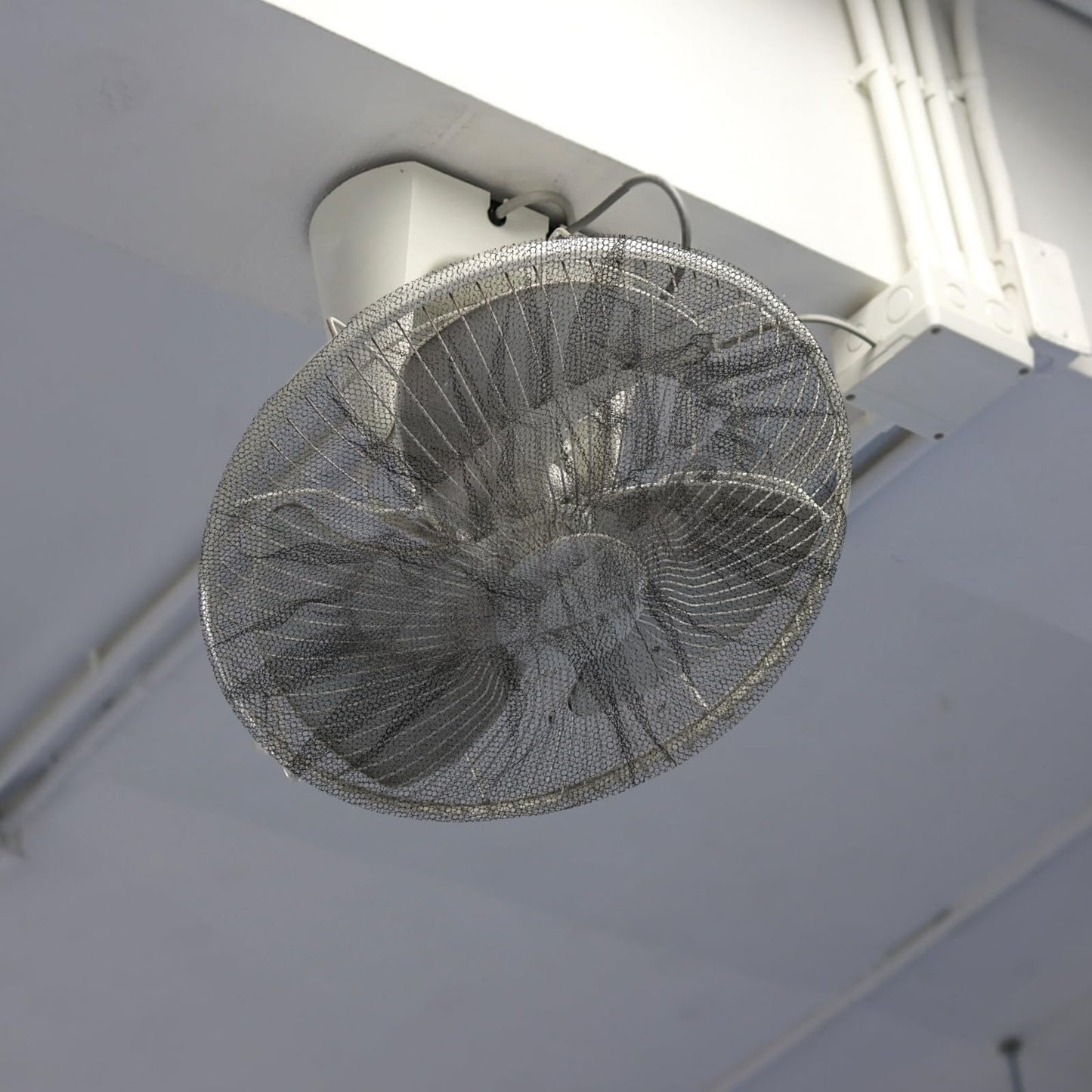 Sewroro 6pcs Fan Covers 16 Inch Electric Fan Protective Cover Mesh Safety Guard for Child Proofing Baby Finger Protection