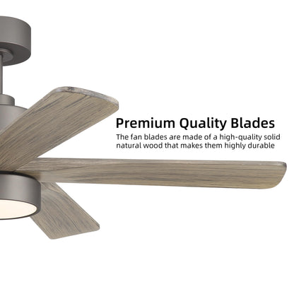WINGBO 48 Inch DC Ceiling Fan with Lights and Remote Control, 5 Carved Solid Wood Blades, 6-Speed Noiseless Reversible DC Motor, Indoor Ceiling Fan in Graphite Finish with Gray Blades