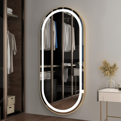 FENNIO 70" x 32" Large Luxury Wall Mounted Mirror with LED Lights - Oval Full Length LED Lighted Full Body Dressing Mirror for Bedroom, Salon, Brushed Aluminum Frame, Tempered Glass