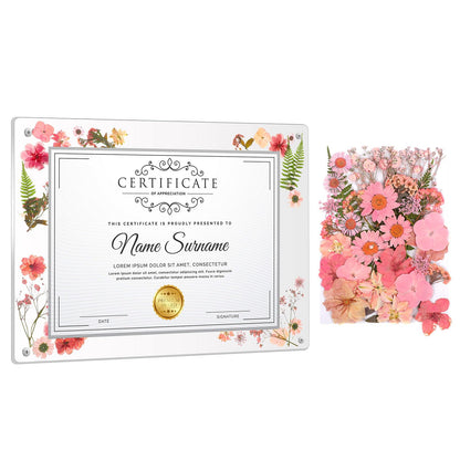 Kathfly 11 x 14 Inch Clear Acrylic Wall Mount Picture Frame Self Adhesive with Pink Dried Pressed Flowers Floating Frameless Clear Photo Frame for Diploma Certificate Degree Painting Artworks Craft
