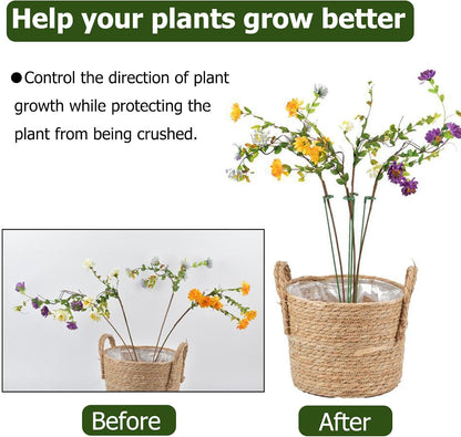 Small Plant Stakes by [Brand Name] - Pack of 30 Indoor Plant Support Stakes | 3 Sizes for Orchids, Roses & Succulents