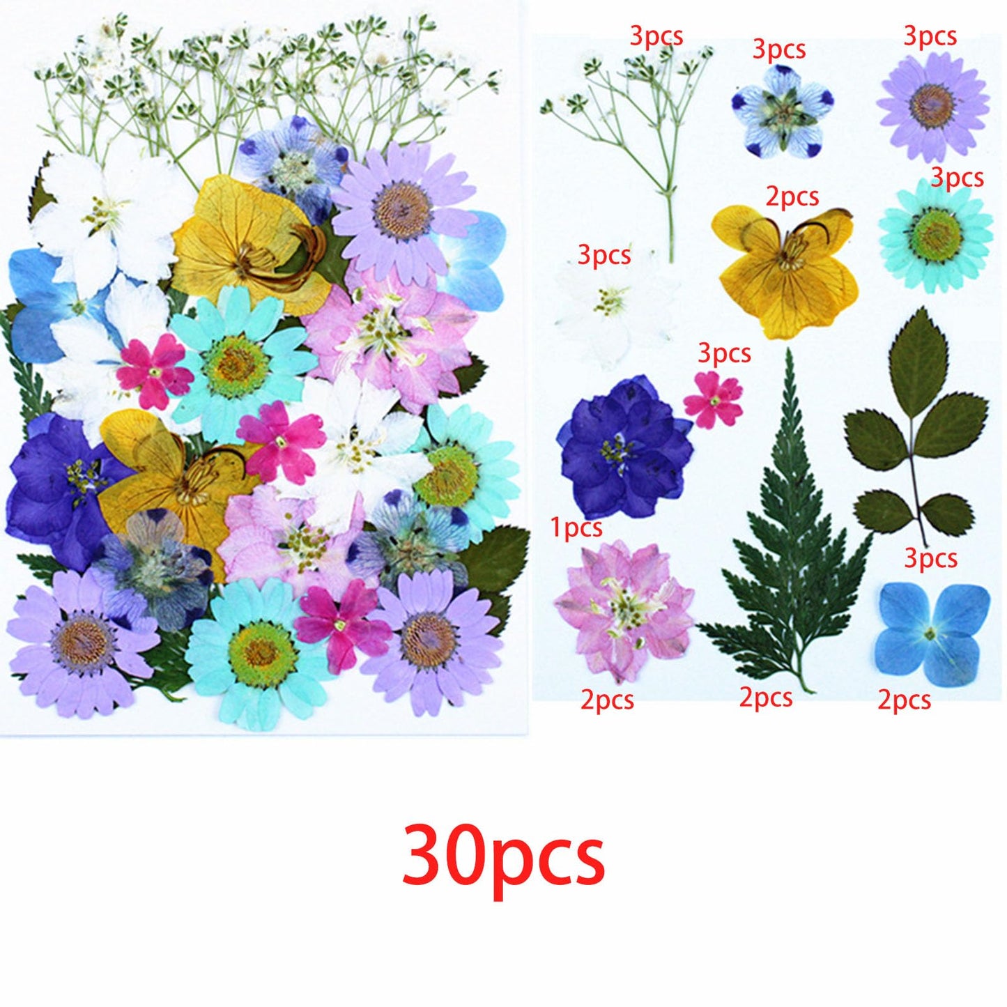 Cayway 4 Pack Pressed Flowers Natural Dried Flowers Colorful Resin Flowers Real Pressed Flowers for Resin Scrapbook DIY Art Crafts, Epoxy Resin Jewelry, Card Making Supplies, Style G