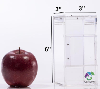 EctoTherm Jumping Spider Enclosure - Complete Acrylic Terrarium Habitat for Spiders, Tarantulas, Praying Mantis - Small Spider House with Front Opening Door - Bug Enclosure for Arboreal Species