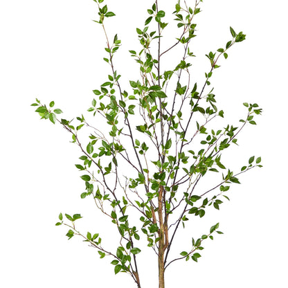 Generic 6.5' Minimalist Citrus Artificial Tree 6.5 Black