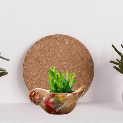 CONGARTENO Ceramic Succulent Planter Pot Bird Shape with Reactive Glaze for Indoor Outdoor Plants Small Decorative Flower Pot for Bonsai and Cactus