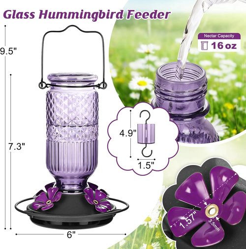 FEED GARDEN Glass Hummingbird Feeder - 16 oz Outdoor Feeder with Bee-Proof Ports & Easy Clean Design, Purple
