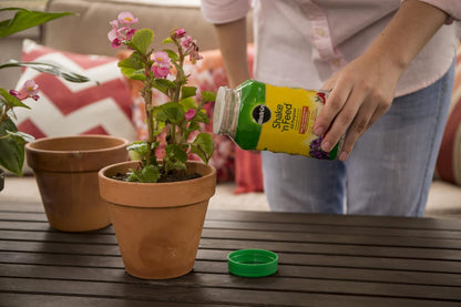 Miracle-Gro All Purpose Plant Food - Continuous Release Fertilizer, 1-Pound for Thriving Plants