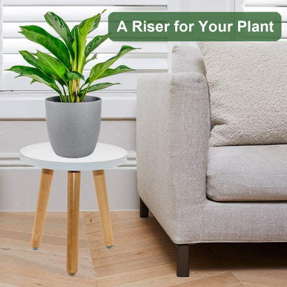 Wood Plant Stand, Modern Small Flower Pot Holder, Decorative Planter Stand for Indoor Plants