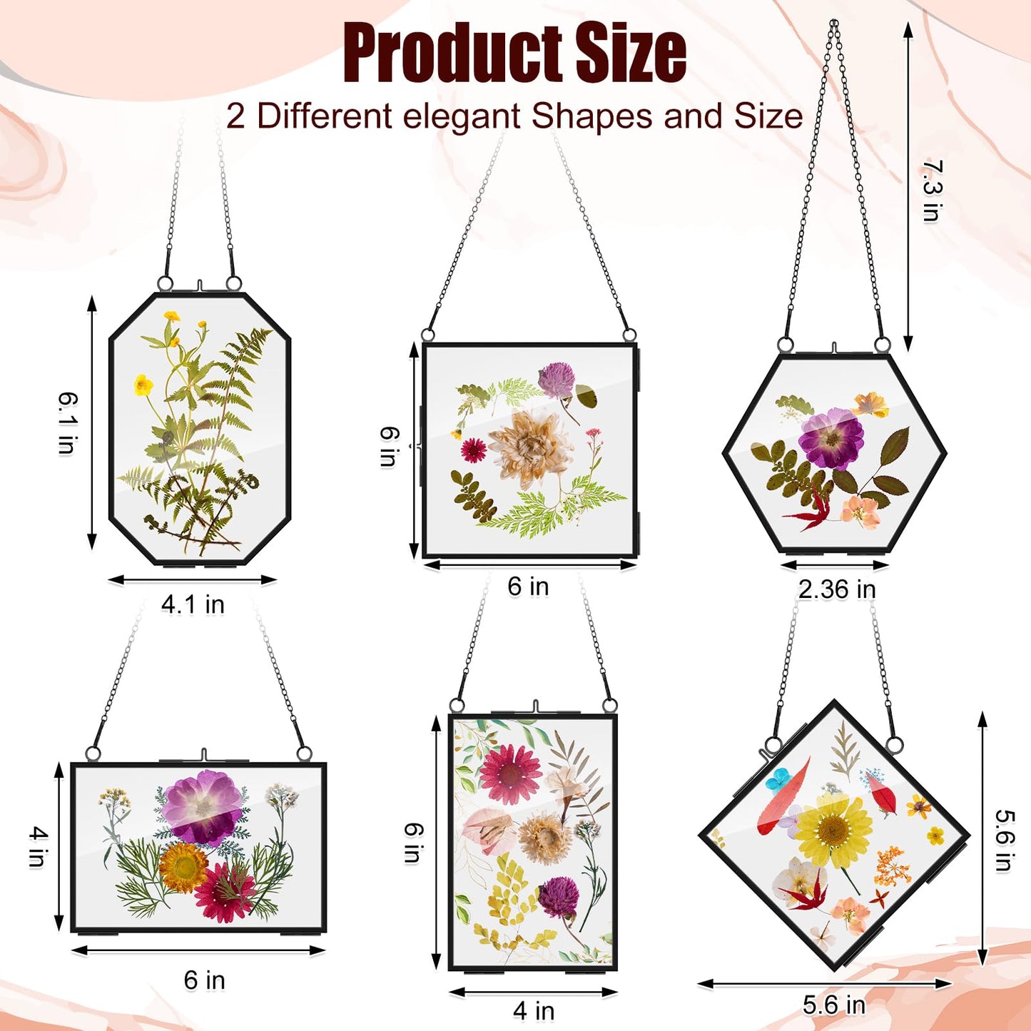 Soaoo 12 Pcs Brass Glass Frame for Pressed Flowers with Chain Clear Double Glass Floating Artwork Display Frame for Wall Decor with Dried Plant Leaf, 6 Shapes (Black)