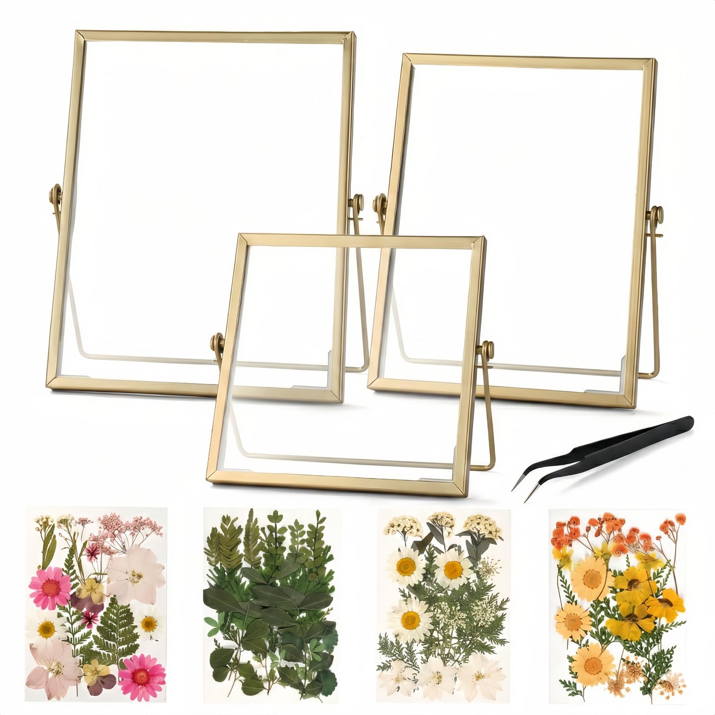 Relaxing Garden Floating Double Glass Frame Set, Gold Pressed Flower Frame DIY Kit with 68 Dried Flowers & Tweezers, 3 Sizes 6x6 6x8 7x9 for Keepsakes, Wedding Photos & Home Decor