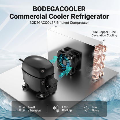 BODEGA BODEGACOOLER 15.5 Cu. Ft Commercial Beverage Refrigerator, Glass Door Upright Display Cooler, 420 Cans Drink Fridge with LED Light, 5 Adjustable Shelves, Lock, Black