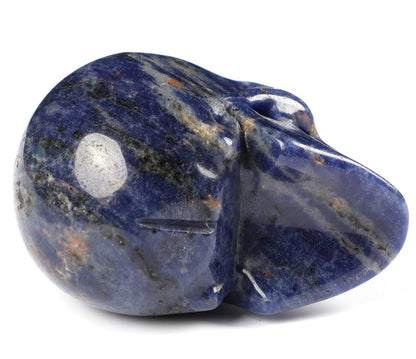 Skullis 2.0" Sodalite Crystal Skull, Hand Carved Gemstone Fine Art Sculpture, Reiki Healing Stone Statue.1380