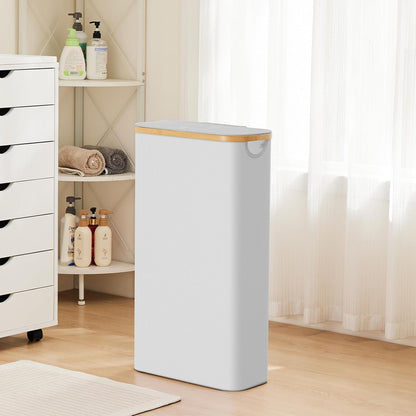 Fiona's magic Slim Laundry Hamper with Lid - 63L Narrow Laundry Basket with Removable Bag, Grey Collapsible