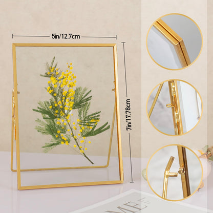 Jajamy Gold Floating Picture Frame Set of 2, Tempered Glass Floating Frames 5x7, Gold Picture Frame for Multi Size Photo 4 x 6, 3 x 5 for Tabletop Display