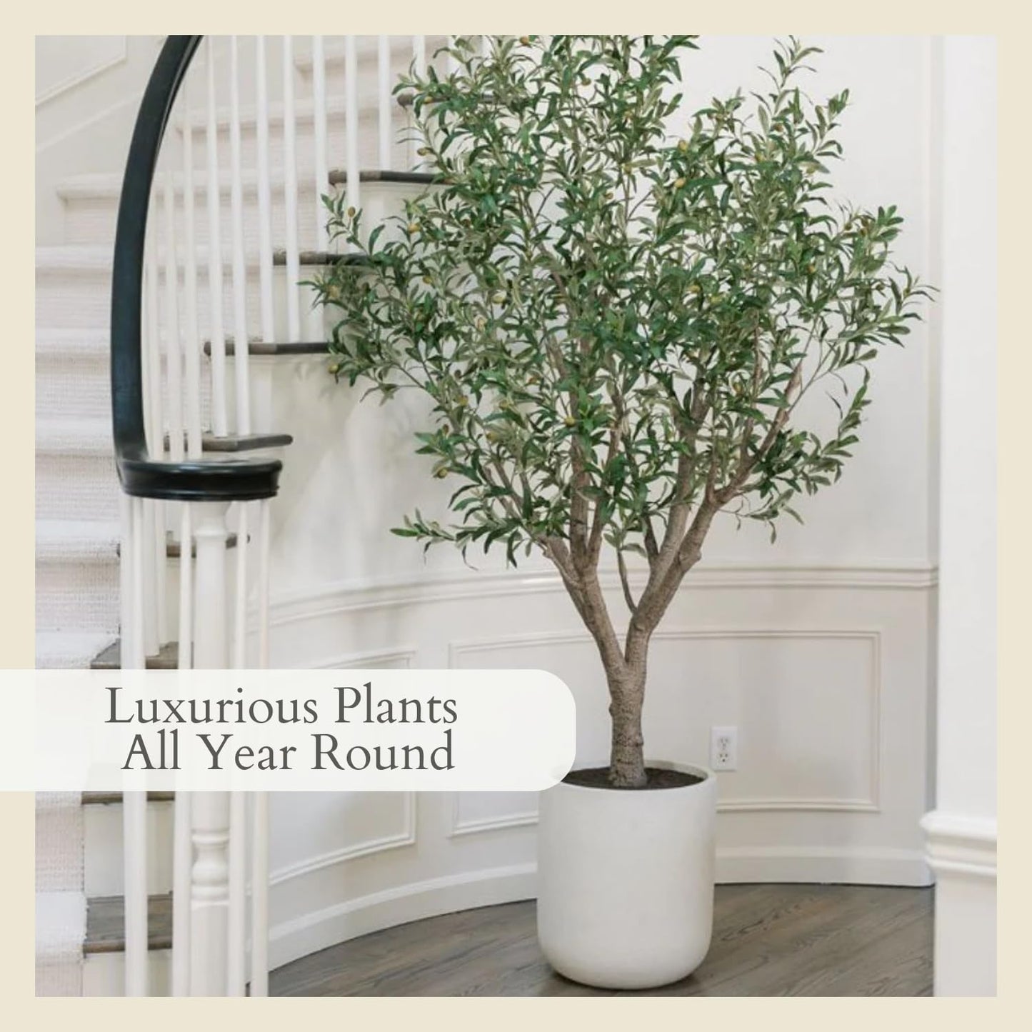 CG Hunter Faux Olive Tree, Premium Artificial Indoor & Outdoor Tree Stands 8' Tall, Lifelike-Leaves & Hand Painted Trunk, White Pot Included