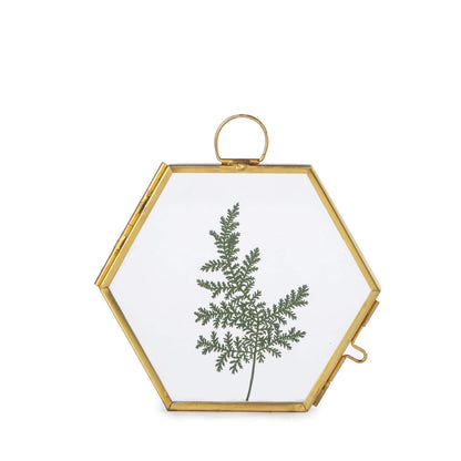 NCYP Mini Glass Floating Frame for Dried Flowers Plants, Photo - Side length 1.9 Inches - Wall Hanging Vertical Decor, Small Double Specimen Clip, Gold Hexagon (Glass Frame Only)