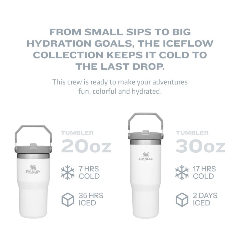 Stanley IceFlow Flip Straw Tumbler with Handle 20 oz | Twist On Lid and Flip Up Straw | Leak Resistant Water Bottle | Insulated Stainless Steel |BPA-Free | Iris