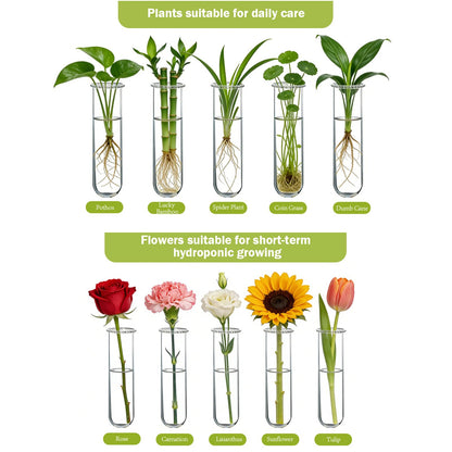 XXXFLOWER Wall Hanging Propagation Station with Wooden Stand Glass Test Tubes Tiered Planters Wall Terrarium for Home Office Plant Hanger Flower Vases Wall Decor Hydroponic Cuttings (9 Tube Vases)