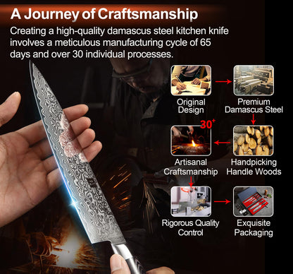 XINZUO 5-Piece Kitchen Knife,Super Sharp Damascus Steel Professional Chef Knife Set with Pakkawood Handle, Gift Box
