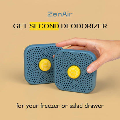 Fridge Deodorizer Odor Eliminator - Activated Charcoal Air Freshener for Refrigerator & Freezer, Natural Odor Absorber