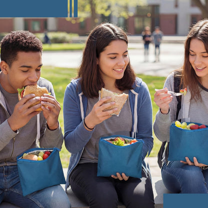 Reallnaive 4 Pack Insulated Sandwich Bags Reusable Lunch Bags Snack Bag Bpa Free Food Pouch Washable for Picnic Travel Office Men Women 8 x 8 Inch(Blue)
