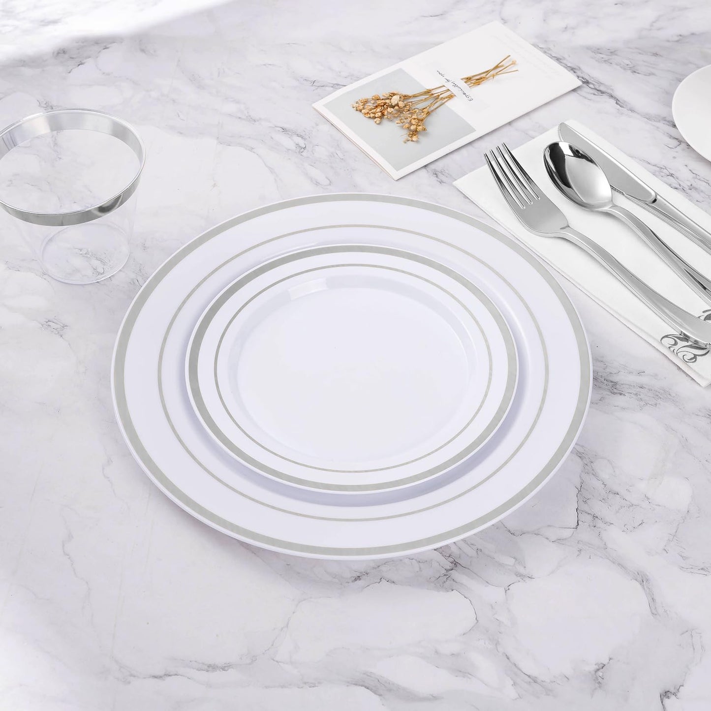 BESTVIP 100PCS Silver Plastic Plates, 10.25 Inch Disposable Dinner Plate Party with Silver Rim for Christmas, Thanksgiving, Heavy Duty Disposable Plastic Plates for Party, Wedding and Birthday, Events