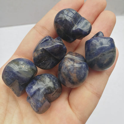 Bacatgem 2 Pcs Natural Sodalite Mini Crystal Human Skull Figurines,1 Inch Handcarved Crystals and Healing Stone Room Decor Gemstone