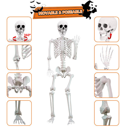 5.4 ft Halloween Skeleton Poseable Skeleton Life Size Skeleton Full Body Plastic Human Bones Standing Human Skeleton with Posable Joints for Halloween Decoration（1PCS