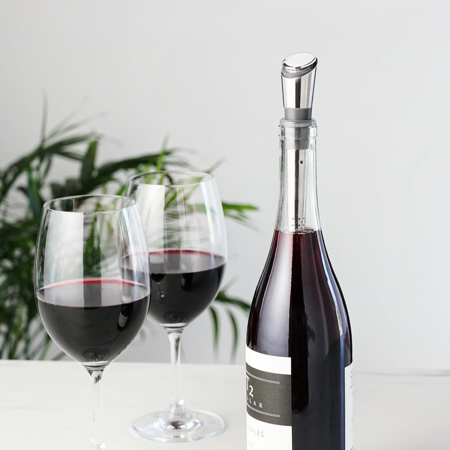 Host Wine Filter Pour Spout with Stopper, Stainless Steel Wine Purifier to Remove Histamines, Sulfite and Soften Tannins, Includes Stopper with Silicone Seal, Set of 1