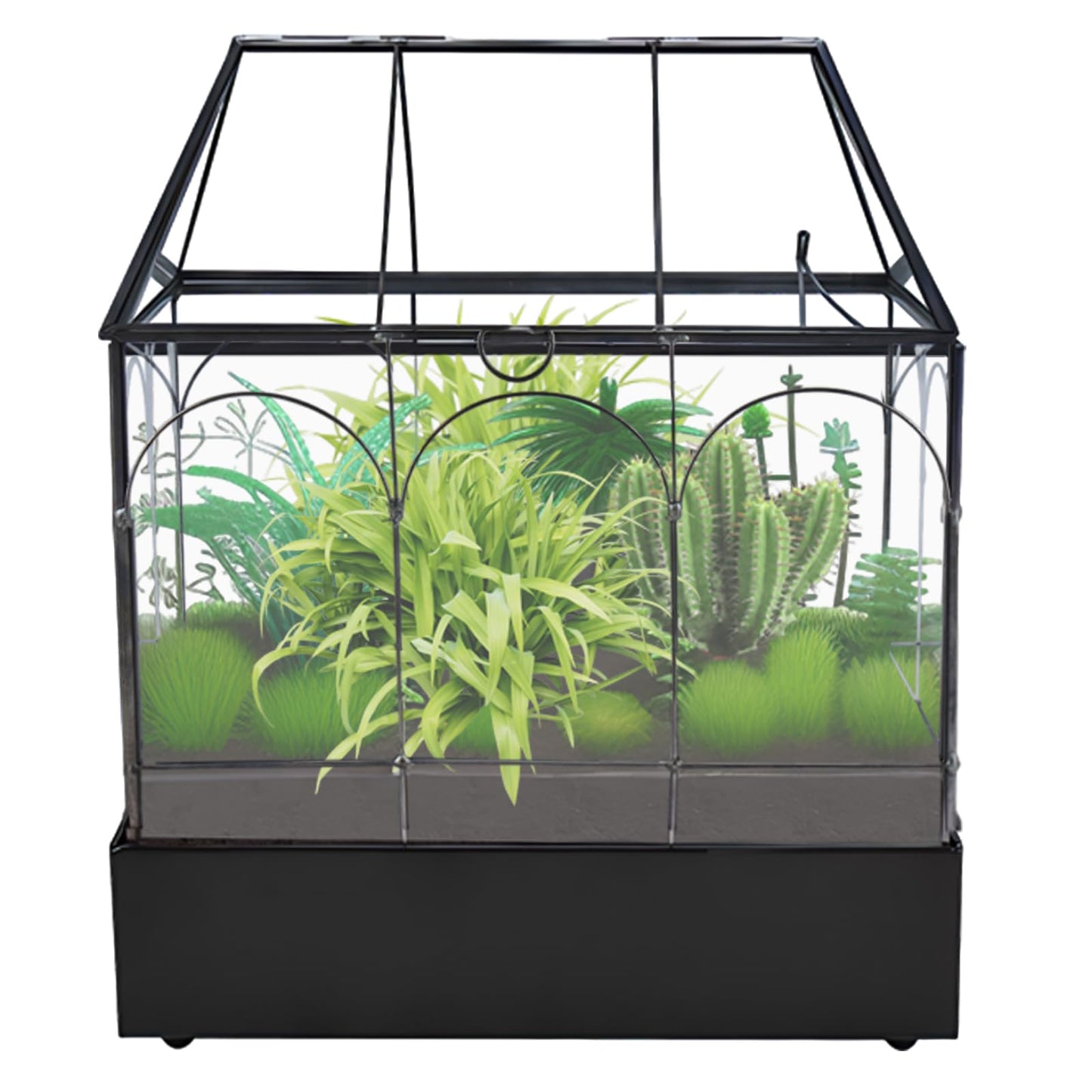 HighFree Glass Terrarium with Metal Tray, Glass Greenhouse Terrarium Kit for Succulents, Cacti, Snails, Spiders, and Miniature Reptiles, Black (Large-9.45" L x 5.7" W x 11.8" H)