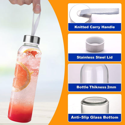 Duocesica 3 Packs Glass Water Bottles with Lid Clear Juice Bottles Reusable Bottle with Stainless Steel Cap Glass Cups Liquid Storage Containers for Juicing Beverage Refrigerator Travel-17oz