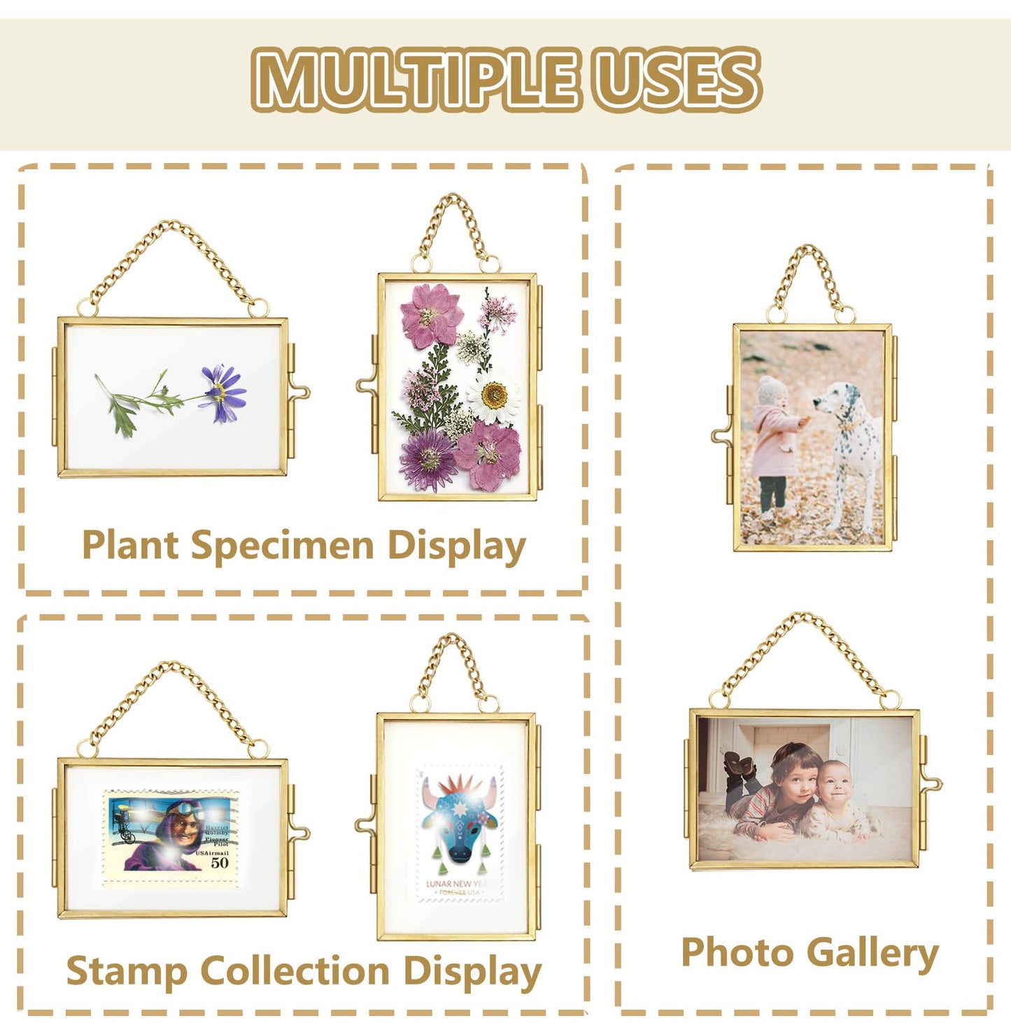 4Pcs Double Glass Frame for Pressed Flowers, 2x3 inch Picture Frame Mini Brass Wall Hanging Photo Floating Frame with Chain for Plant Specimen Artwork Display Home Wall Decor (Gold, Vertical)