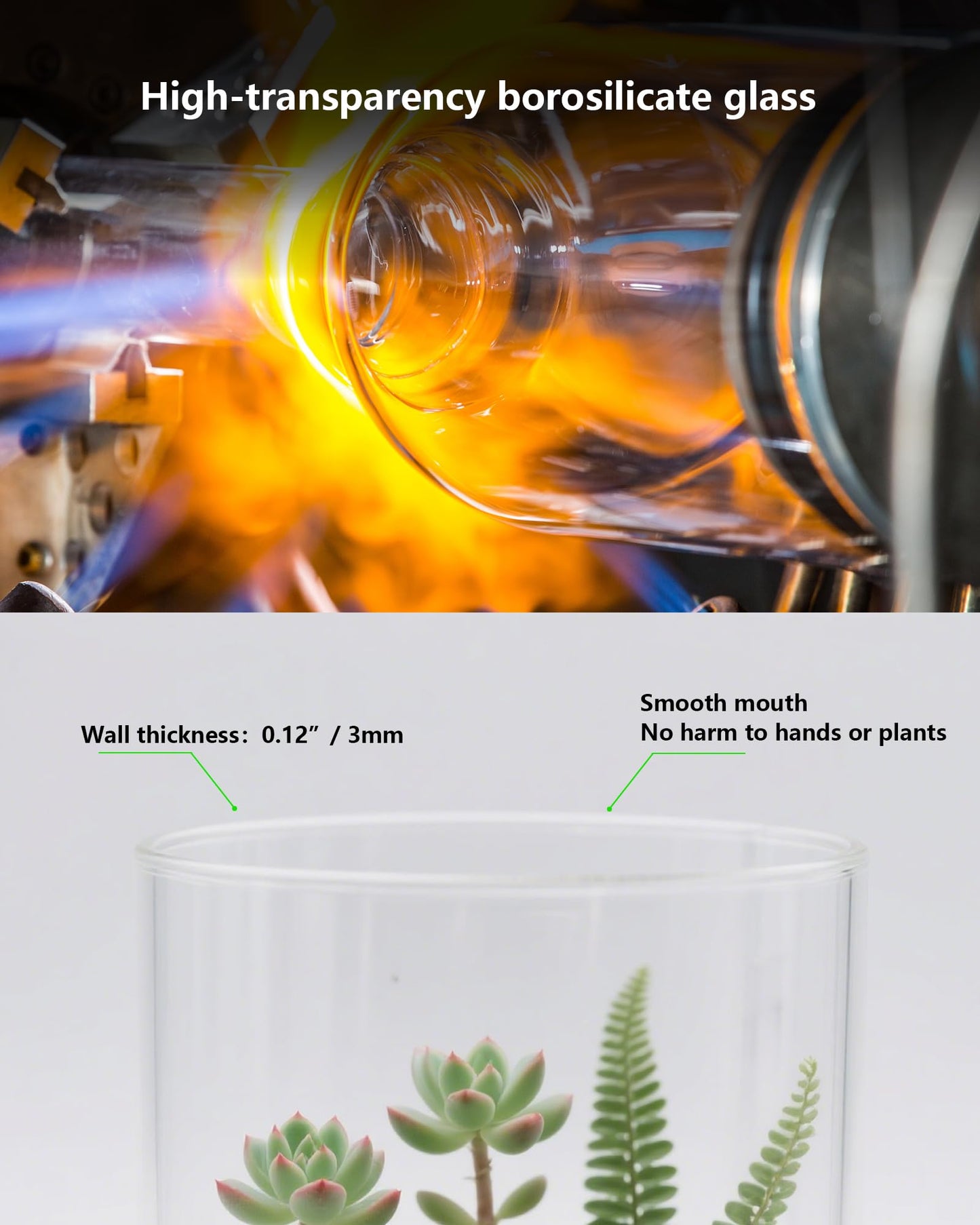 Desktop Glass Terrarium with Grow Light (7.5" H x 5.9" D) - for Succulents, Moss, Mini Gardens, Betta Fish Tanks, Mushroom Cultivation | Indoor Plant Growth | Office/Home Decor | Plant Lover Gifts