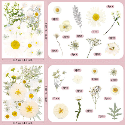 SUAUKEY 95 Pcs White Pressed Dried Flowers for Resin, Real Natural Bulk Dry Wildflowers Leaves Perfect for Epoxy Molds, DIY Crafts, Home Decor, Soap Candles Jewelry Making