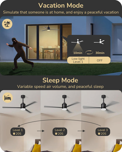EDISHINE 52" Modern Matte Black Ceiling Fans with Lights, Noiseless, Remote Control, 3CCT Dimmable, Reversible DC Motor, 6 Speeds, Indoor Ceiling Fan for Bedroom, Living Room, Home Office
