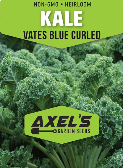 Axel's Garden Seeds 2 Packets Curled Blue Kale Seeds for Planting Plant & Grow Heirloom Non-GMO Curled Blue Vates Kale