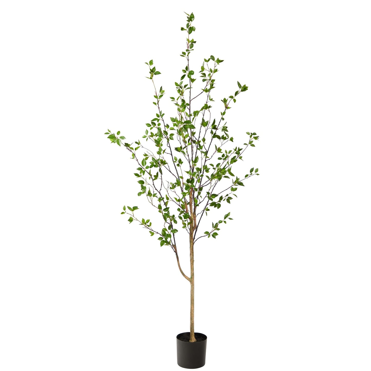 Generic 6.5' Minimalist Citrus Artificial Tree 6.5 Black