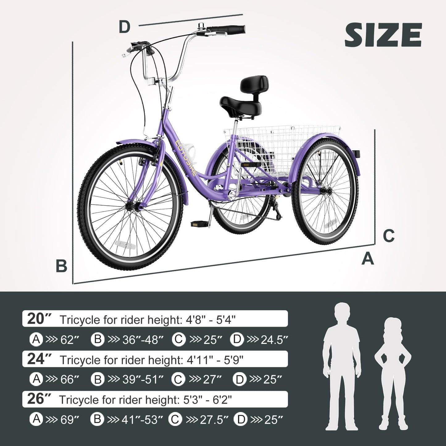 ABORON Adults Tricycle, 3 Wheels Bike for Adult, Tricycle for Adults, Double-Wall Wheel Rims, Tricycle for Women Men Exercise Outdoor Sports (Purple-Upgrade, 20"/ 7 Speed)