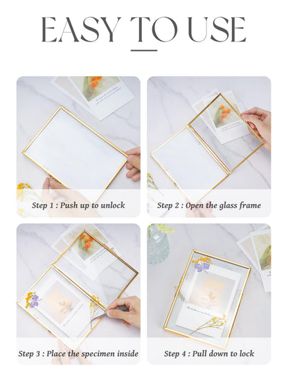 REDHUGO Glass Pressed Flower Frame Handmade, Floating Picture Frames for Pressed Flowers, Tabletop Artwork Photo Frames, Brass Desk Picture Frame for Home Office Plant Specimen, Gold, 4x6 Inches